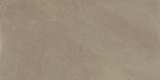 Burlington Taupe