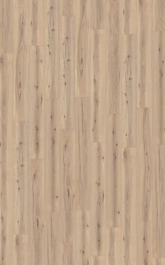Sol stratifié - Chêne Arizona Beige.svg