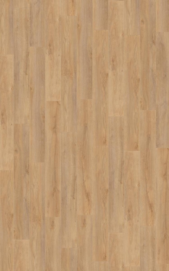 Sol stratifié - chêne premium nature ROBUSTO.svg