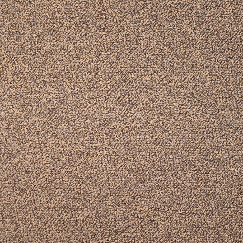 Moquette Balsan - marron .svg