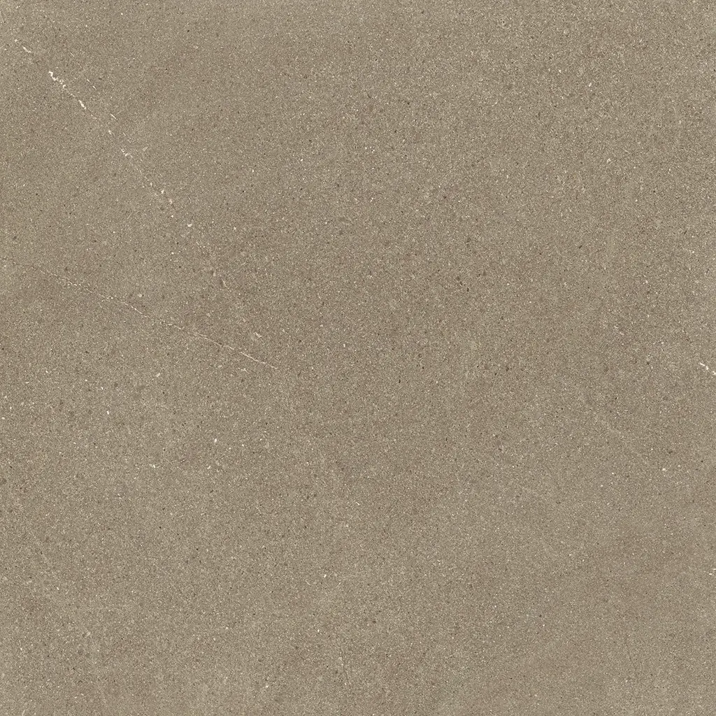 PR131628BI39304_A037726_BURLINGTON_TAUPE_RECT_60X60_SZ1.webp