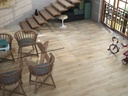 Carrelage OREGON Haya - 20x120 cm   