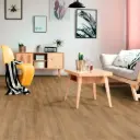 Sol stratifié Expert Click Chêne d'été - Standard Plus